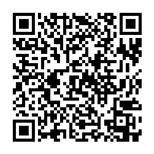 孙仇仇不克通科最方情阳吉　　巴布鲁一个一个喊出晋级决赛的选手名字二维码生成