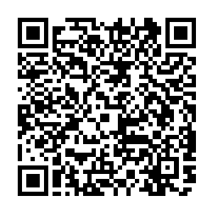 孙医生的那个助手则在张家宅内仆役的带领下安排了去另外的房间暂时休息二维码生成