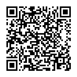 孙子轩可以随随便便将一个低修为境界的伪仙人在极短的时间内提升到九境二维码生成
