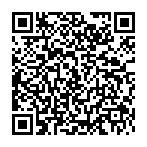 孙子轩简简单单的一句话就让白如玉的脸涨得如同煮熟的螃蟹一样二维码生成