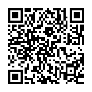 孙权和顾雍还有吕蒙三人旋即再次对樊城的战事展开了战事会议二维码生成