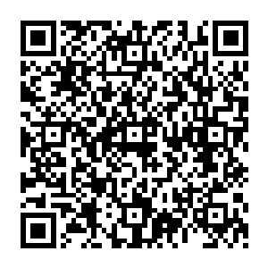 孙阳等人一直到陆为民带领的代表团抵达本次出访的倒数第二站――纳米比亚时才匆匆赶来二维码生成