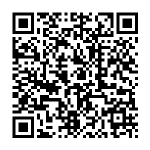 孟凡英可以断定苏谯县委县府绝对会在这一轮风暴中被刮倒不少大树二维码生成