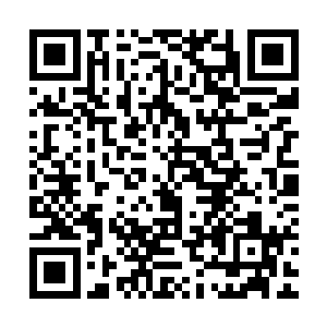 孟南便仿佛看到了无数洪荒巨兽在雷帝手中不甘陨落的壮烈场面二维码生成