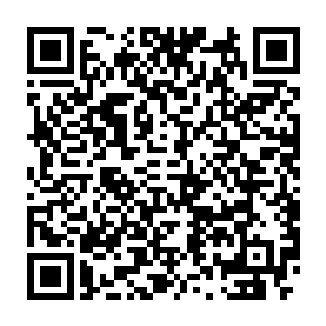 孟南看着散落在海面上浮浮沉沉的海船残骸和不时浮出水面的武者尸体二维码生成