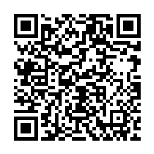 孟奇根据真武大帝留下的线索与真武派开派祖师获得传承的流言二维码生成