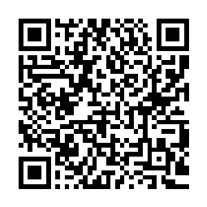 孟猊可不想眼睁睁地看着碧落公子和修罗殿主就这样安然离开二维码生成