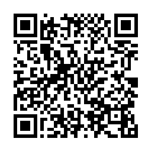 孟猊的两次救美实际上在林嘉儿的心里烙下了深深的印记二维码生成