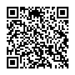 孟猊自然是条件反射地去格挡两位生化人的攻击二维码生成