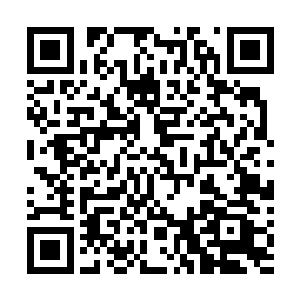 孟瑶在电话里和人报了杨采儿男朋友的名字和户籍出生日二维码生成