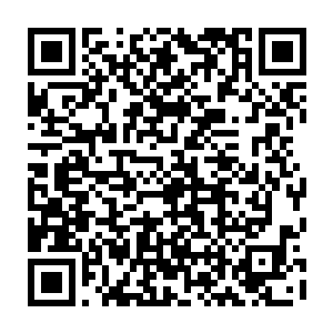 季宸渊冰冷的唇角在看到苏嫣那带有几分可怜的目光之后变得柔和了些许二维码生成