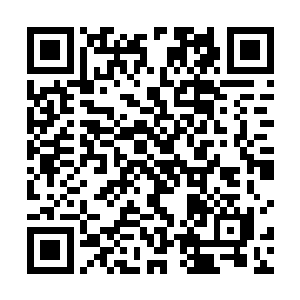 季疏云在粮食种类和种植方法上面给了他们不少的建议二维码生成