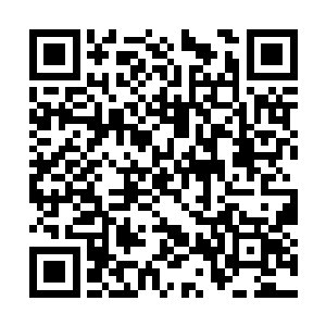 季疏云算准了他的每一招每一式每一次布局和变化二维码生成