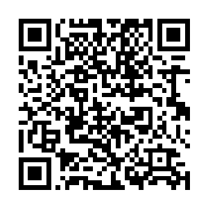 孤城在我的指导下带领一群杀手把万行星域的高层杀怕二维码生成