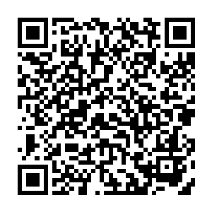 学员们还可以去距离卡加斯学院二十里之外的一片树林中猎杀魔兽获得魔核二维码生成