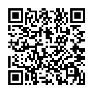 学校负责教他们实验的兰老师一年也发表不了一篇论文二维码生成