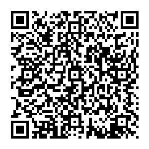 学校里的所有牲口都明白了学校和众人之间所默认的那条底线在哪里――私自夹带的粮食不能超过1公斤二维码生成