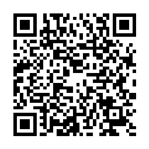 宁伟强就抽空给秦方简单的介绍了一下名仕沙龙的情况二维码生成