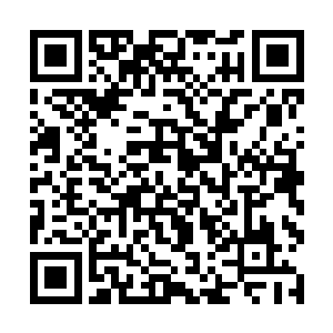 宁忌划着无聊的狗刨哗哗哗的从一艘游船的旁边过去二维码生成