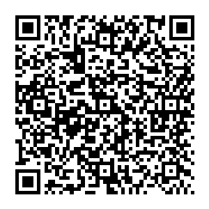 宁愿接受一切厌恶的眼神 只为探寻僵尸的秘密 解开僵尸一族的诅咒 而这一切 都不是认可 而是同情二维码生成