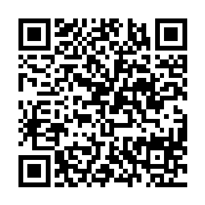 宁掌柜正在细细的再次查看苏落拿出来的半步皇级凝血丹二维码生成