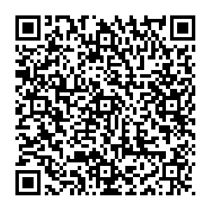 宁毅那看似保守却也干净利落的处理和归类手法确实也令得目前已经手忙脚乱的刘大彪松了一口气二维码生成