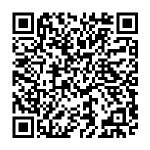 宁海市防暴大队和武警支队的官兵几乎和专案组的人不分先后的到达了生活馆二维码生成