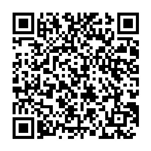 宁王朱宸濠的老管家还是有些小心翼翼的看着宁王朱宸濠的脸色的二维码生成