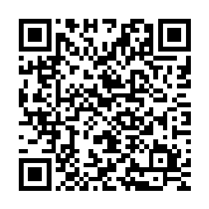 宁羽墨和蔡晴也可以将他们虐上十几个来回都不带掉血的……二维码生成