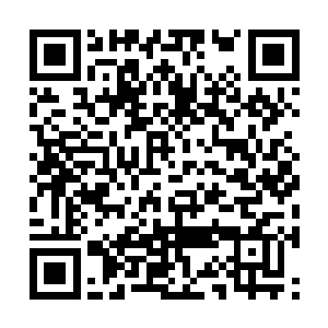 它也懒得出来对付你的……基本上可以忽略不计的二维码生成