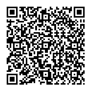 它也是彻底的从沉睡中苏醒过来了……顿时就有一股狂暴绝伦的劲气从修罗之心中迸发了出来二维码生成