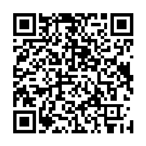 它们会和主人产生感情……你为什么要一个畜生来喜欢你呢二维码生成