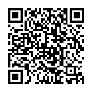 它们几乎可以把任何丢弃在宫殿树里面的垃圾吃得干干净净二维码生成