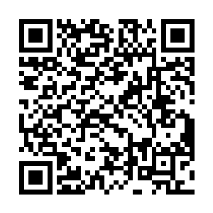 它们利用雷电在背后形成了一对用雷电编织而成的翅膀二维码生成