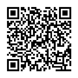 它们在短暂的思量过后终于判别出这股威压到底是什么二维码生成