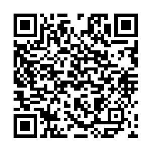 它们怕你是不是以为你肚中的巫运之果是不死树的种子二维码生成