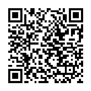 它们最擅长的是利用绝对的数量优势使用虫海战术二维码生成