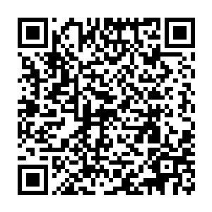 它们的存在明显是为了给凌霄开后门的……凌霄的年龄实在太年轻了二维码生成