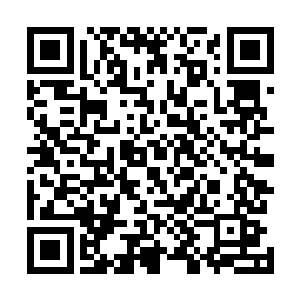 它们相互串联在一起在树林的上空编织了鸟巢一样的空间二维码生成