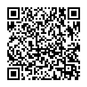 它们那坚韧的外骨骼装甲几乎可以完全抵挡同阶虫族的攻击而不被损坏二维码生成