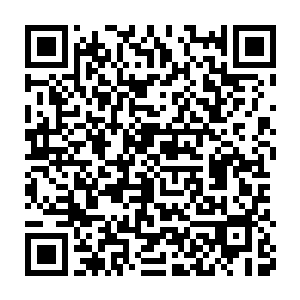它们那相对脆弱的蚊虫羽翼根本支撑不了多久便会被彻底点燃焚毁二维码生成