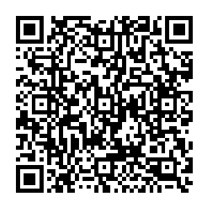 它们非常聪明的利用塞翁留下的手札进行自我维护和收集材料进行各个模块的升级二维码生成