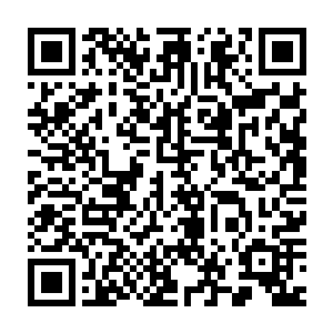 它会在这种极其痛苦的状态下度过很长的一段时光……长到无法想象二维码生成