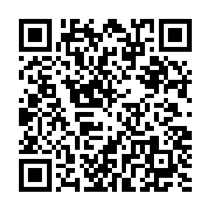 它似想到了曾经灵仙界大族群与圣界强者浴血奋战的一幕幕二维码生成
