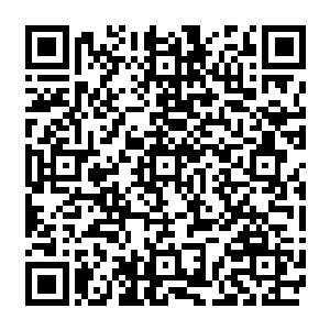 它几乎到了疯狂的边缘可最终无济于事最后只能仰天发出一声咆哮振动九霄扩散出老远二维码生成