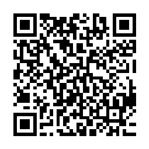 它却是万剑门每十年给门中精英弟子传承一次精华剑法的秘法二维码生成