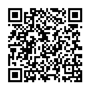它却没有注意到秦方那隐晦的笑容……他算准了这个家伙会这样二维码生成