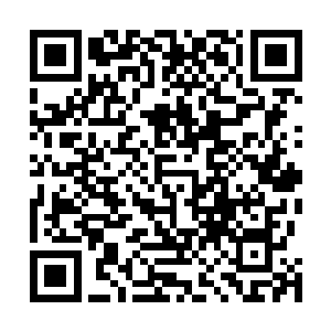它变得手掌一样大小……和手掌一样有着纵横的脉络纹路二维码生成