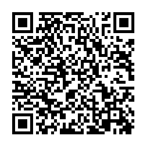 它引以为傲的最坚硬的鳞片面对那柄不知道是什么的巨大弯刀竟然没有丝毫作用二维码生成