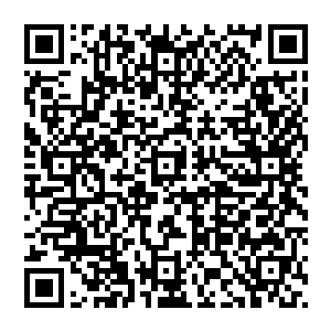 它更符合评委们的胃口也是理所当然――你谈论萨尔维的语气好像你们并没有什么特别的关系一样二维码生成